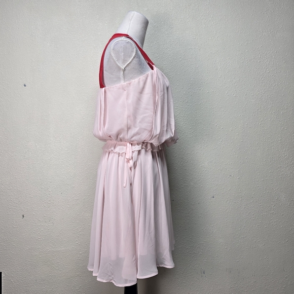 EXPRESS Chiffonn Pink and Red Sleeveless Dress Size Large - Picture 6 of 10